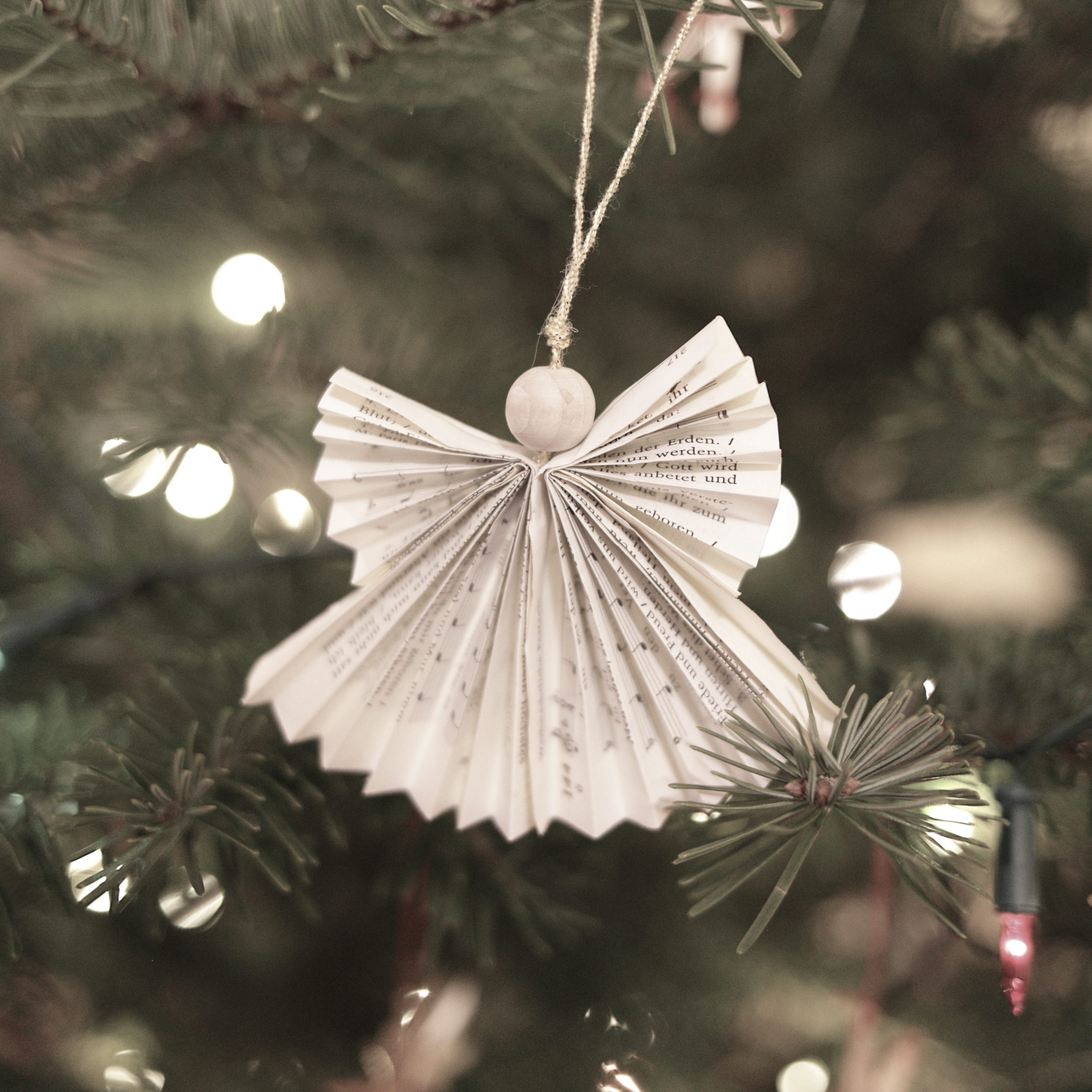 Die Frauen von der Purpurküste